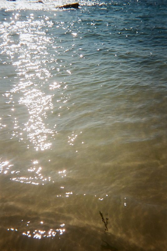 THE LOST ART OF...POINT & SHOOT